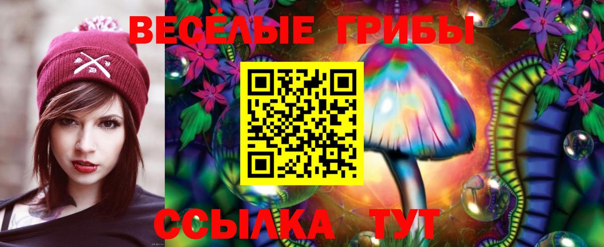 Заводоуковск  как найти   Вход с VPN  Псилоцибиновые грибы мухоморы 